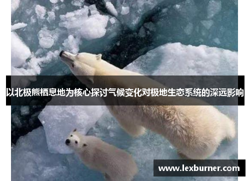 以北极熊栖息地为核心探讨气候变化对极地生态系统的深远影响